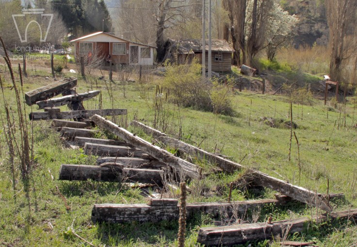 balsa esqueleto caracoles